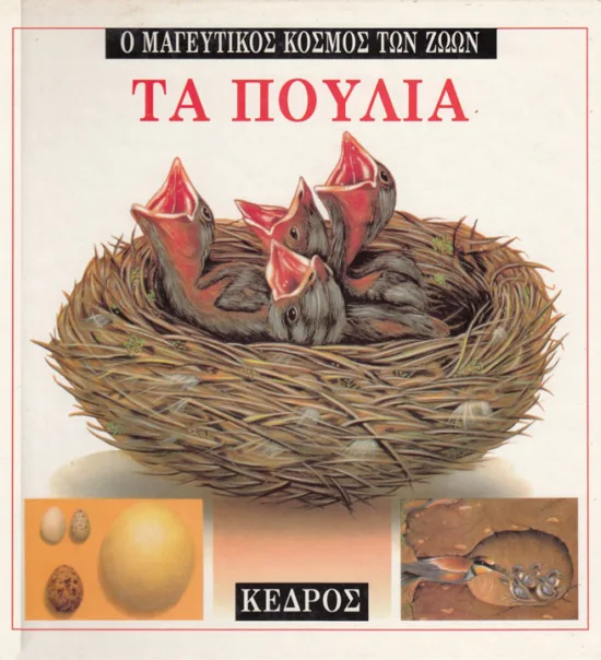 Τα πουλιά